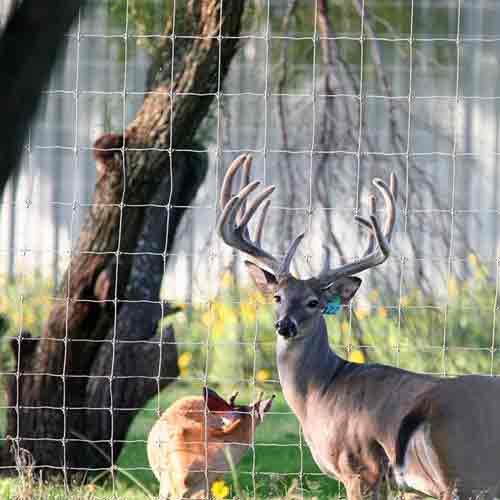 Wholesale High Quality Factory Suppliers Wire Mesh Roll Deer Field Farm Fence With Cheap Price